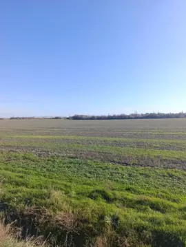 Участок в Крым, Симферопольский район, Мазанское с/пос  (20.0 сот.)