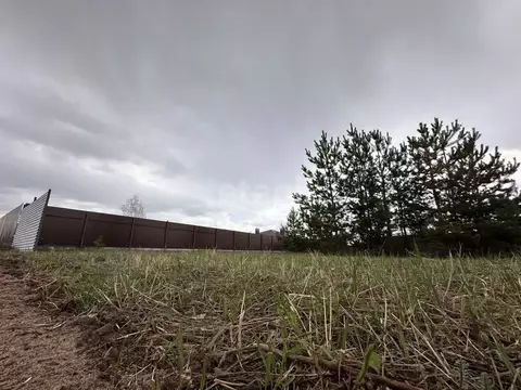 Участок в Воронежская область, Рамонский район, Новоживотинновское ...