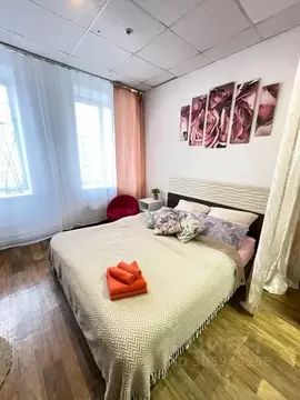 Студия Пермский край, Пермь Екатерининская ул., 122 (18.0 м)