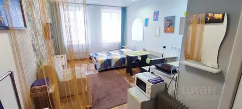 1-к кв. Пермский край, Пермь Екатерининская ул., 122 (28.0 м)