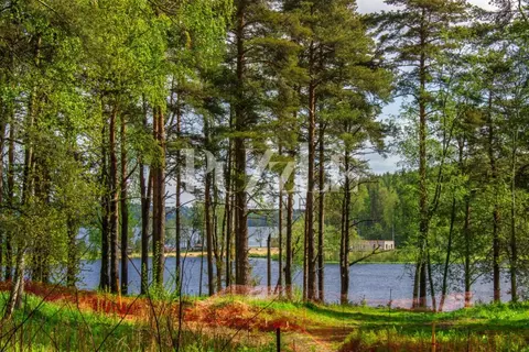 Участок в Ленинградская область, Всеволожский район, Куйвозовское ...