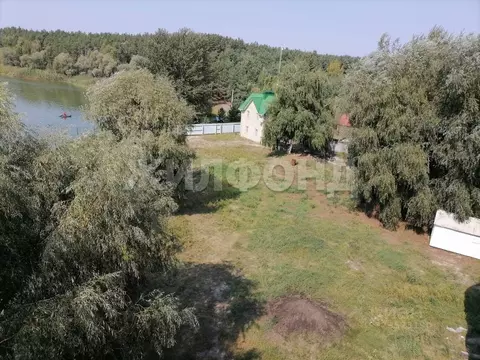 Участок в Белгородская область, Белгородский район, Крутологское ...