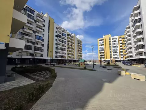 1-к кв. Крым, Саки ул. Набережная (31.3 м)