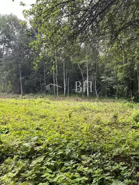 Участок в Ленинградская область, Лужский район, Скребловское с/пос, д. ...