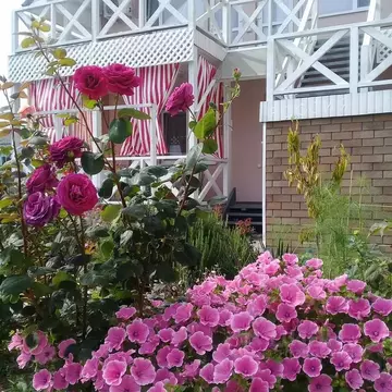 Комната Крым, Сакский район, Молочненское с/пос, с. Витино ул. ...