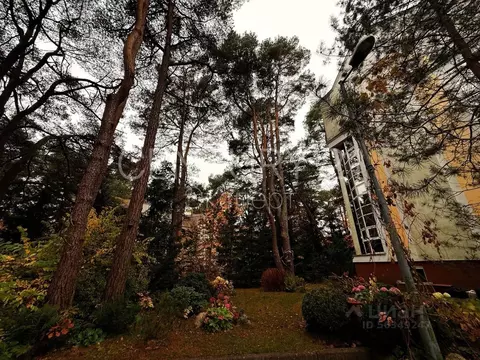 5-к кв. Калининградская область, Светлогорск ул. Горького, 6А (168.9 ...