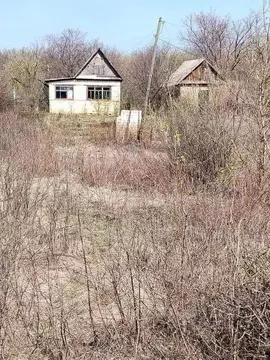 Дом в Оренбургская область, Бузулук Вымпел СНТ,  (16 м)