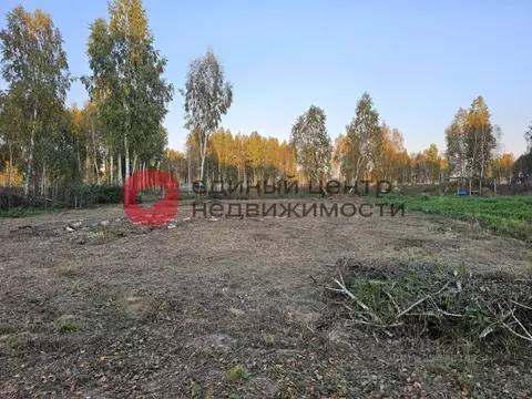 Участок в Тюменская область, Тюменский муниципальный округ Салаирский ...