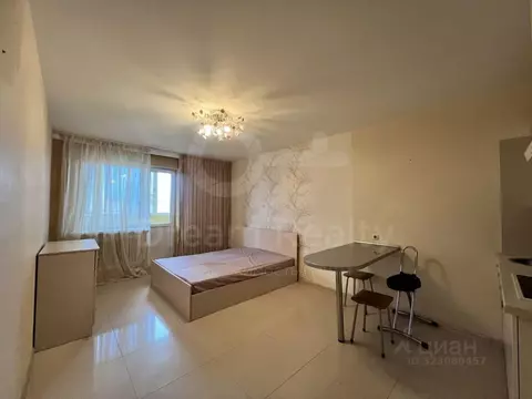 Студия Московская область, Истра муниципальный округ, с. Рождествено ...