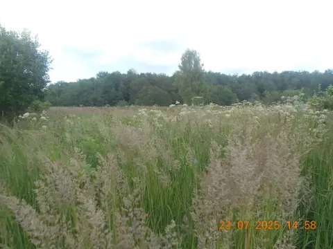 Участок в Московская область, Шаховская муниципальный округ, д. ...