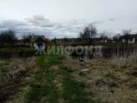 Участок в Брянская область, Брянский район, пос. Мичуринский  (5.0 ...