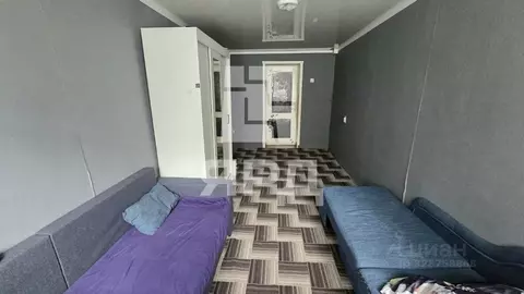 Комната Ростовская область, Таганрог ул. Пальмиро Тольятти (14.1 м)