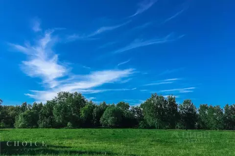 Участок в Московская область, Одинцовский городской округ, д. ...