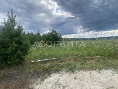 Участок в Тюменская область, Тюменский муниципальный округ, с. Каскара ...