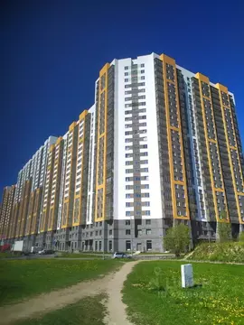3-к кв. Санкт-Петербург Ленинский просп., 68 (75.0 м)