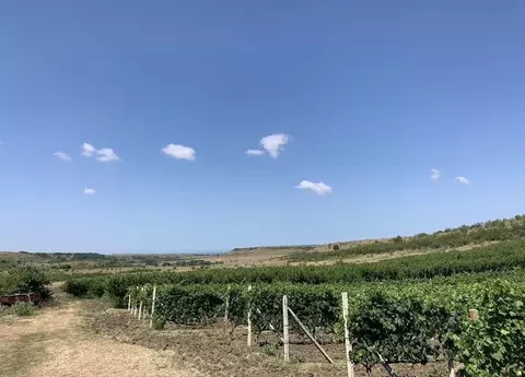 Участок в Краснодарский край, Анапа муниципальный округ, пос. Уташ ул. ...
