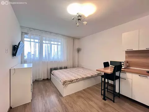 Квартира-студия: Екатеринбург, Рощинская улица, 27 (21.7 м)