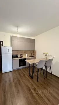 Студия Санкт-Петербург Планерная ул., 87к1 (25.8 м)