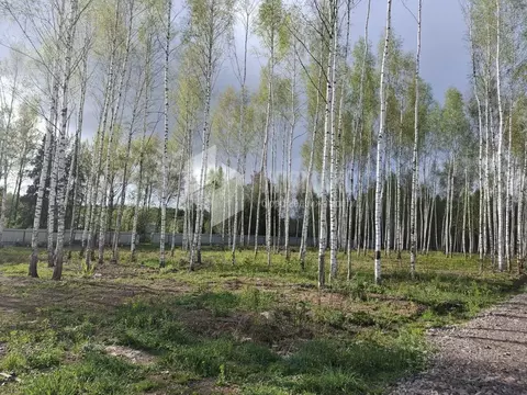 Участок в Москва Кристалл СНТ, 10 (7.5 сот.)