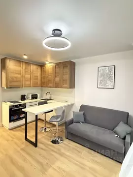 Студия Московская область, Котельники Парковый мкр, 11 (21.4 м)