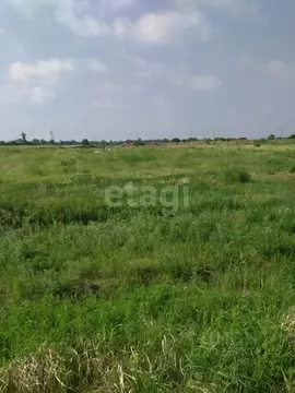 Участок в Амурская область, Благовещенский район, пос. Заречный  ...