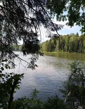 Участок в Московская область, Сергиево-Посадский городской округ, с. ...