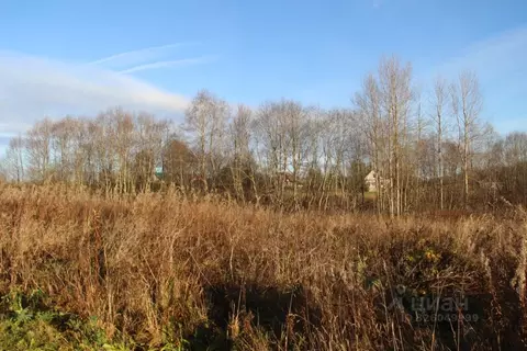 Участок в Московская область, Шаховская муниципальный округ, д. ...