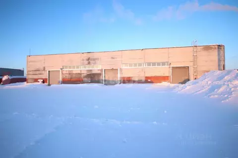 Помещение свободного назначения в Ямало-Ненецкий АО, Новый Уренгой ул. ...