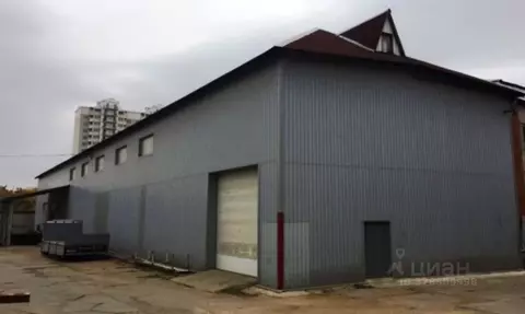 Помещение свободного назначения в Московская область, Раменский ...