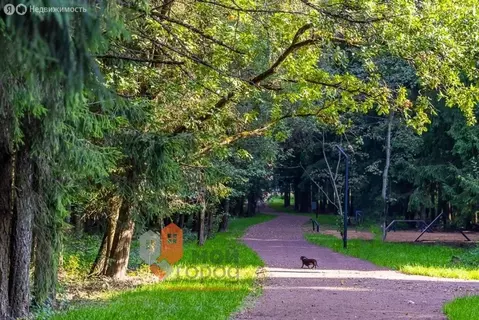 Квартира-студия: Звенигород, микрорайон Супонево, к15 (28.7 м)