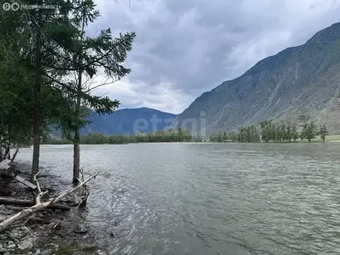 Участок в Улаганский район, село Коо (13.46 м)
