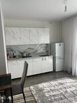 Студия Челябинская область, Челябинск ул. Блюхера, 123 (24.0 м)