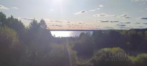 Дом в Тверская область, Пеновский муниципальный округ, д. Нечаевщина ...