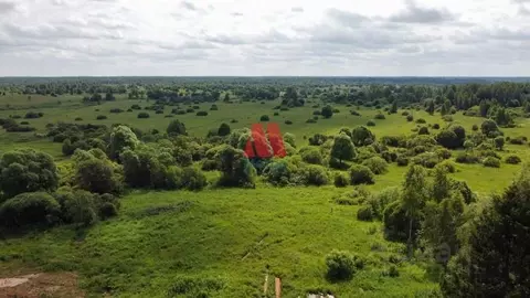 Участок в Ярославская область, Гаврилов-Ямский муниципальный округ, с. ...