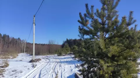 Участок в Владимирская область, Владимир д. Уварово, ул. Юринская, 11 ...