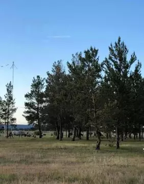 Участок в Саха (Якутия), Якутск городской округ, с. Тулагино  (8.0 ...