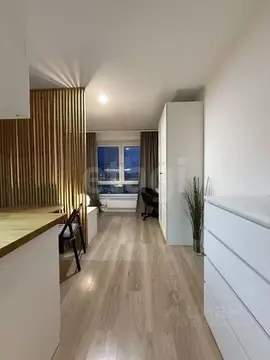 Студия Московская область, Ленинский городской округ, Боброво пгт ул. ...