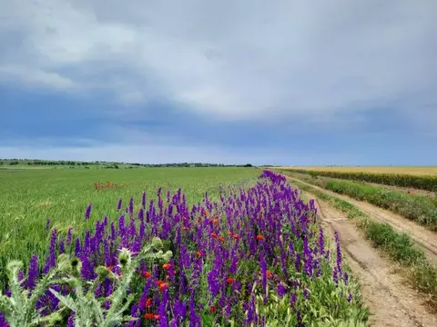 Участок в Крым, Бахчисарайский район, Песчановское с/пос, с. Береговое ...