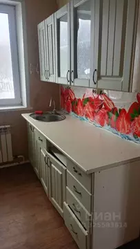 1-к кв. Алтай, с. Чоя ул. Красноармейская, 4А (33.2 м)