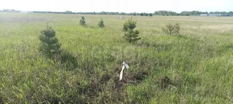 Участок в Тюменская область, Тюменский район, Новокаменский кп  (7.87 ...