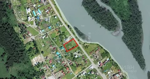 Участок в Алтайский край, Алтайский район, Айский сельсовет, с. Ая ул. ...