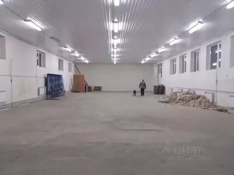 Помещение свободного назначения в Краснодарский край, Краснодар пос. ...