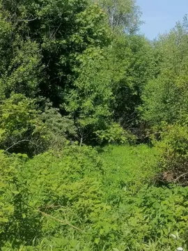 Дом в Калужская область, Перемышльский район, Большие Козлы с/пос, д. ...