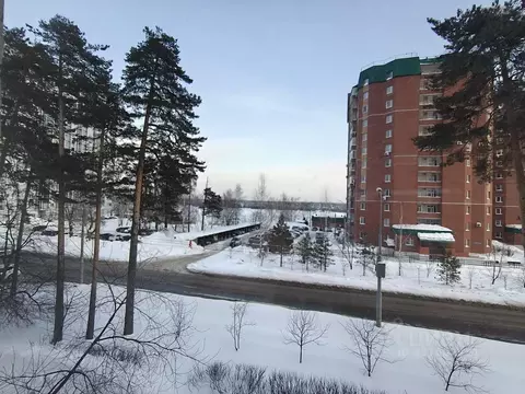 1-к кв. Пермский край, Пермь Кировоградская ул., 71 (36.5 м)