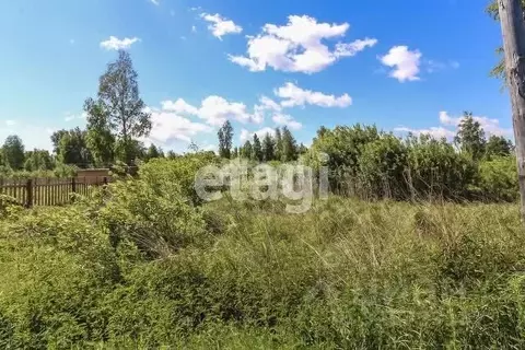 Участок в Тюменская область, Нижнетавдинский муниципальный округ, ...