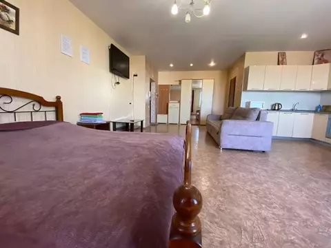 1-к кв. Пензенская область, Пенза ул. Пушкина, 7 (43.0 м)