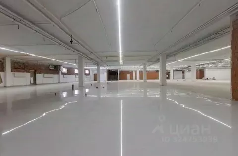 Помещение свободного назначения в Санкт-Петербург просп. Испытателей, ...