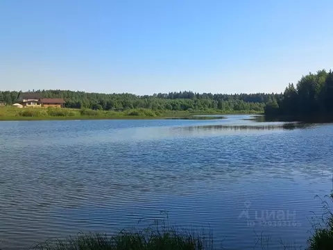 Участок в Московская область, Шаховская муниципальный округ, с. ...