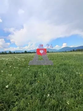 Участок в Алтай, Усть-Коксинский район, с. Усть-Кокса  (407.0 сот.)