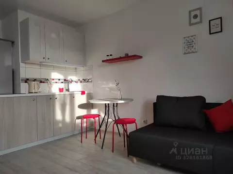 Студия Санкт-Петербург пос. Парголово, ул. Шишкина, 293 (24.0 м)